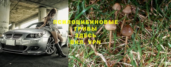 молекула духа Армянск