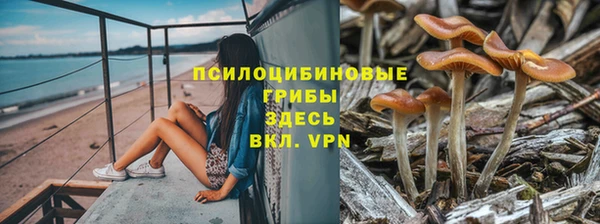 соль курить ск Арсеньев