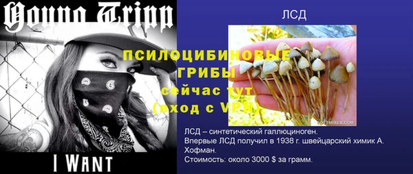 соль курить ск Арсеньев
