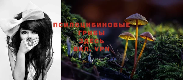 соль курить ск Арсеньев