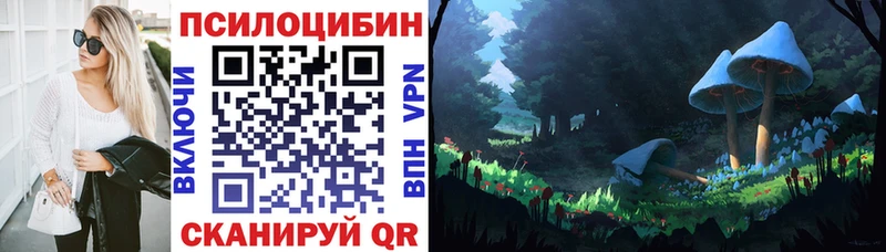 Галлюциногенные грибы Psilocybe Саров