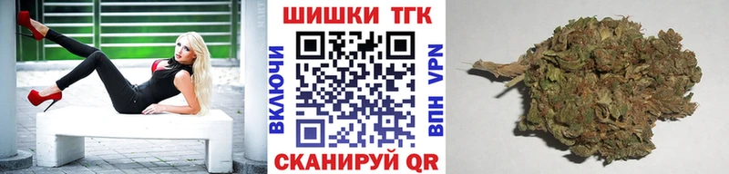 как найти   shop телеграм  Бошки Шишки план  Саров 
